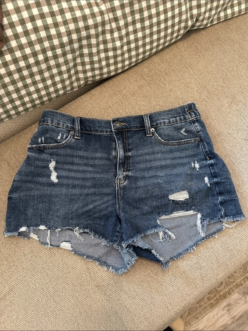 Aerie Distressed Denim Short